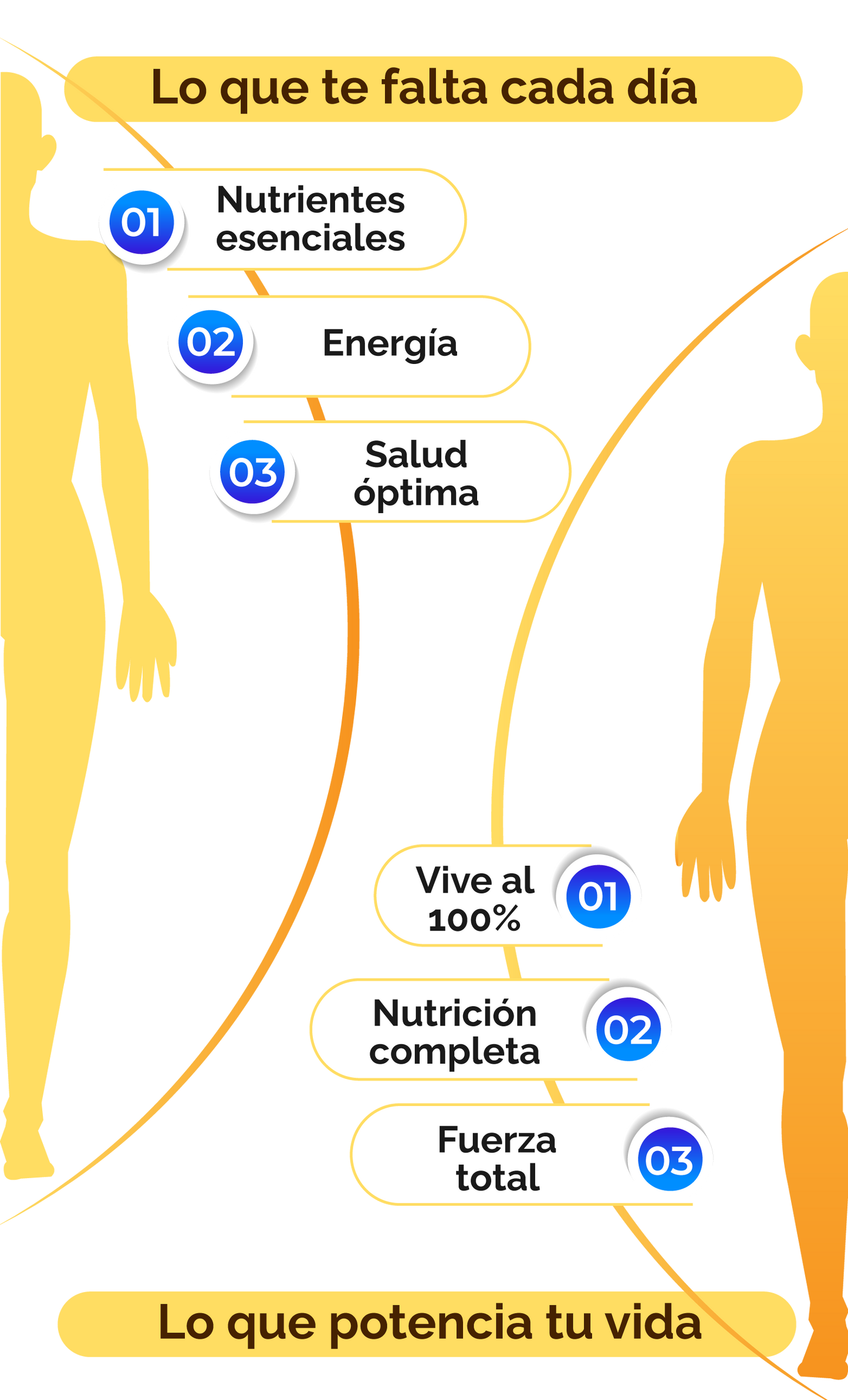 Super alimentos nutricionales premium: Mezcla Avanzada de Café Liofilizado con Avena, 3,6 g de Proteína, 13 Vitaminas, 9 Minerales y Probióticos